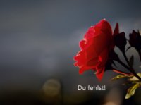 eine Anzeige